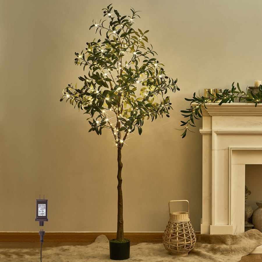 Hairui Lighted Olive Tree 6FT for Home Living Room Decor