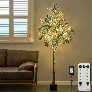 Hairui Lighted Olive Tree 6FT for Home Living Room Decor