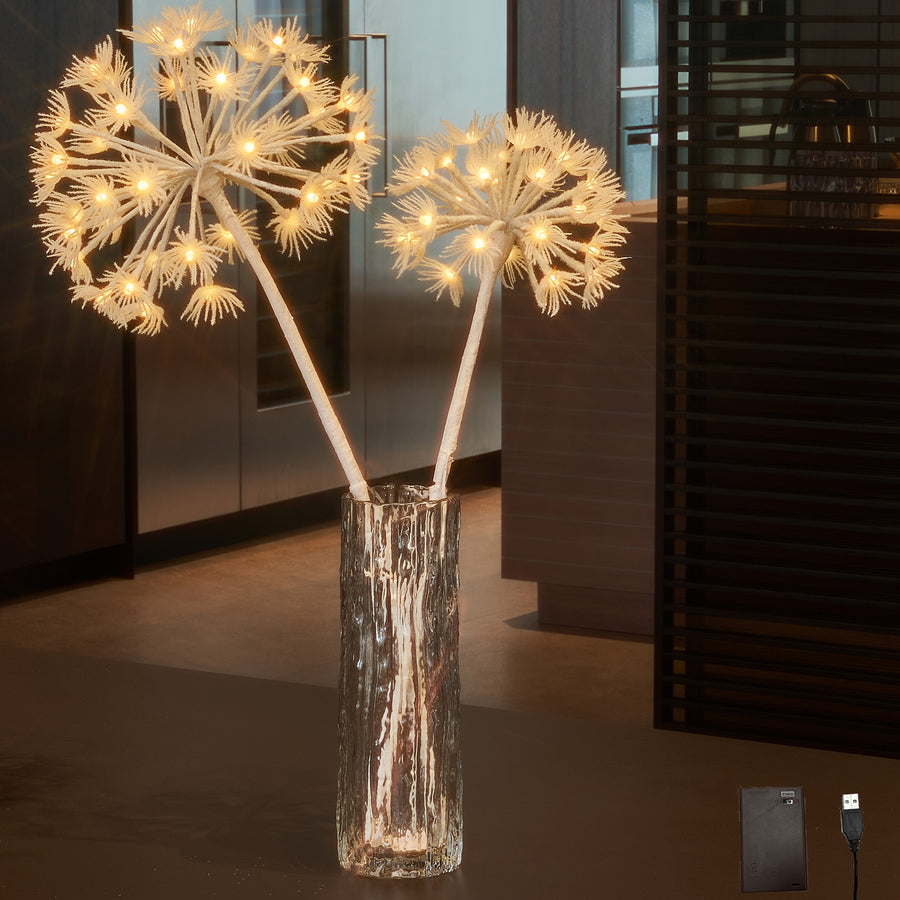 Hairui Lighted Dandelion Branches 27IN for Home Decor