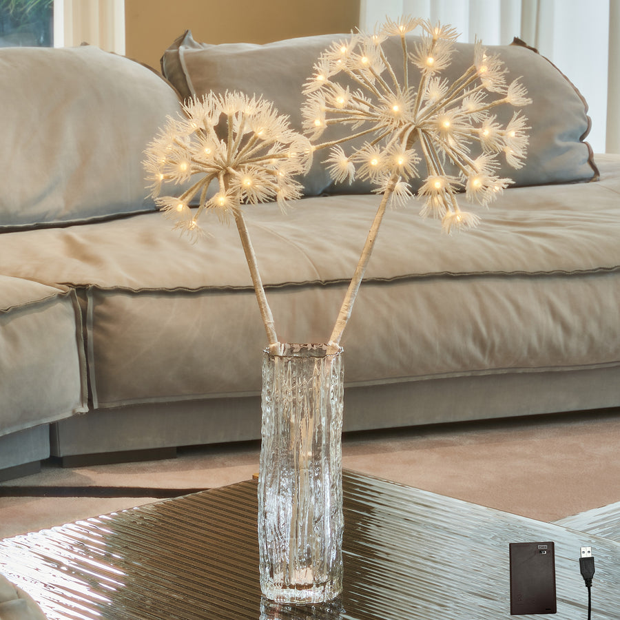 Hairui Lighted Dandelion Branches 27IN for Home Decor