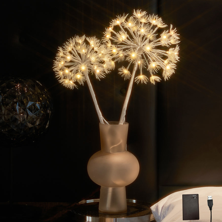 Hairui Lighted Dandelion Branches 27IN for Home Decor