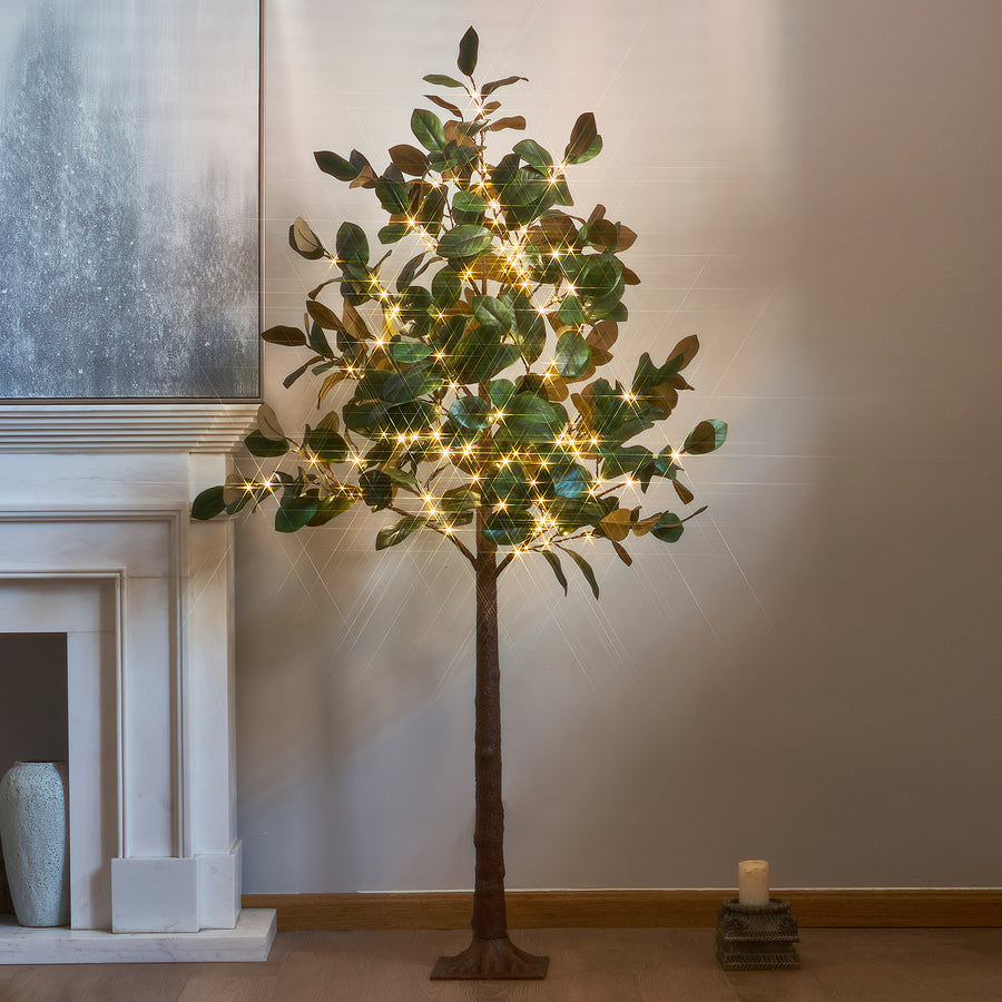 Hairui Lighted Magnolia Tree 6FT