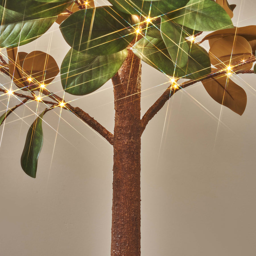 Hairui Lighted Magnolia Tree 4FT