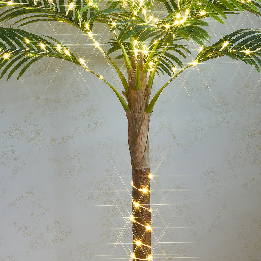 Hairui Lighted Palm Tree 6FT 220 LED Fairy Lights