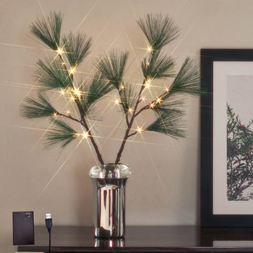 Hairui Lighted Christmas Pine Branches